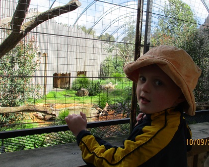/uploaded_files/media/gallery/1600300086wildlife connor.jpg